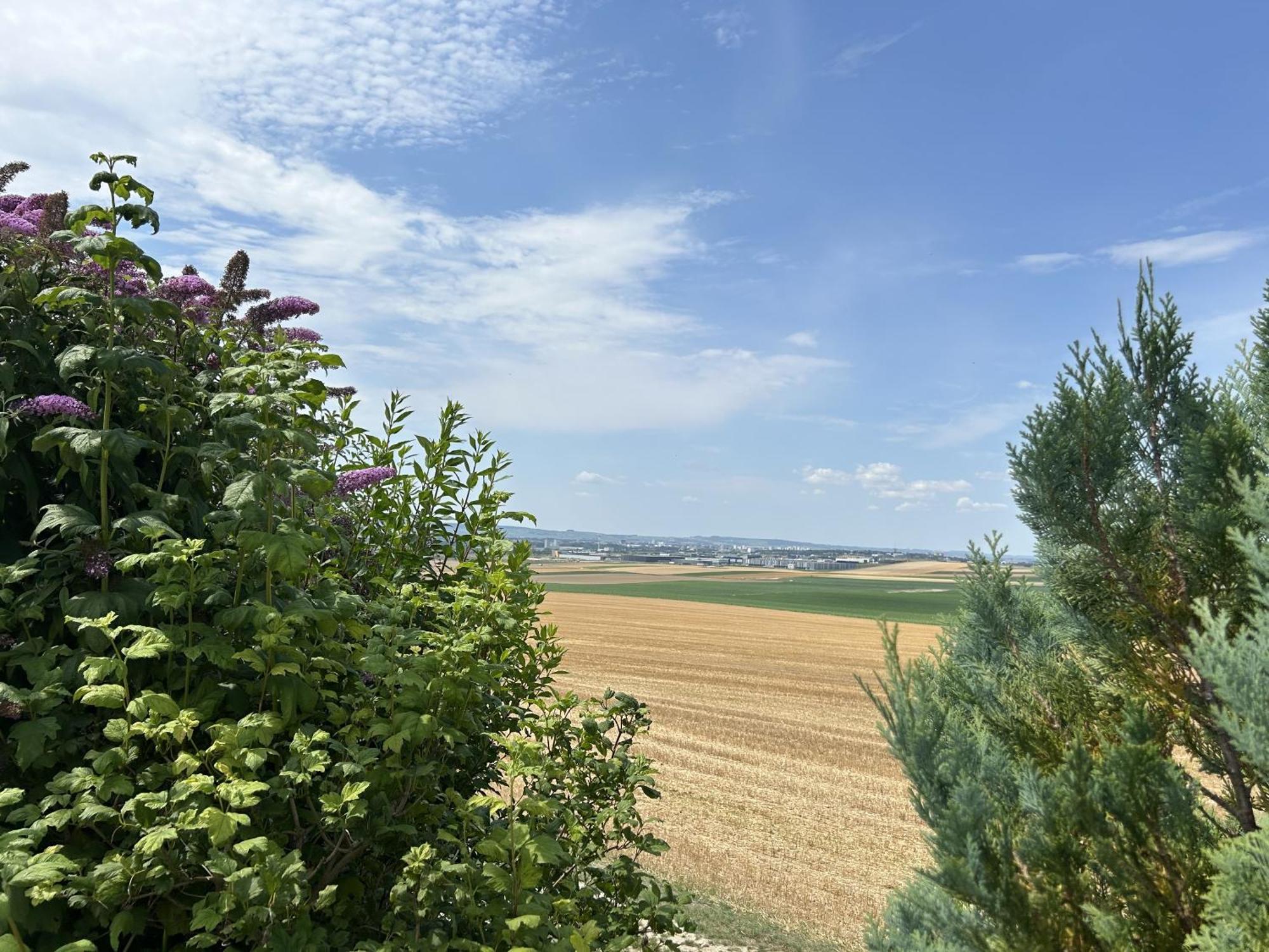 Вилла Le Charme Cernay-les-Reims Экстерьер фото